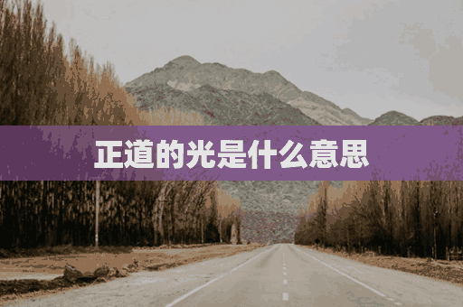 正道的光是什么意思(正道的光是什么意思梗)